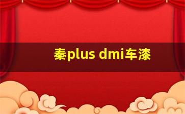 秦plus dmi车漆